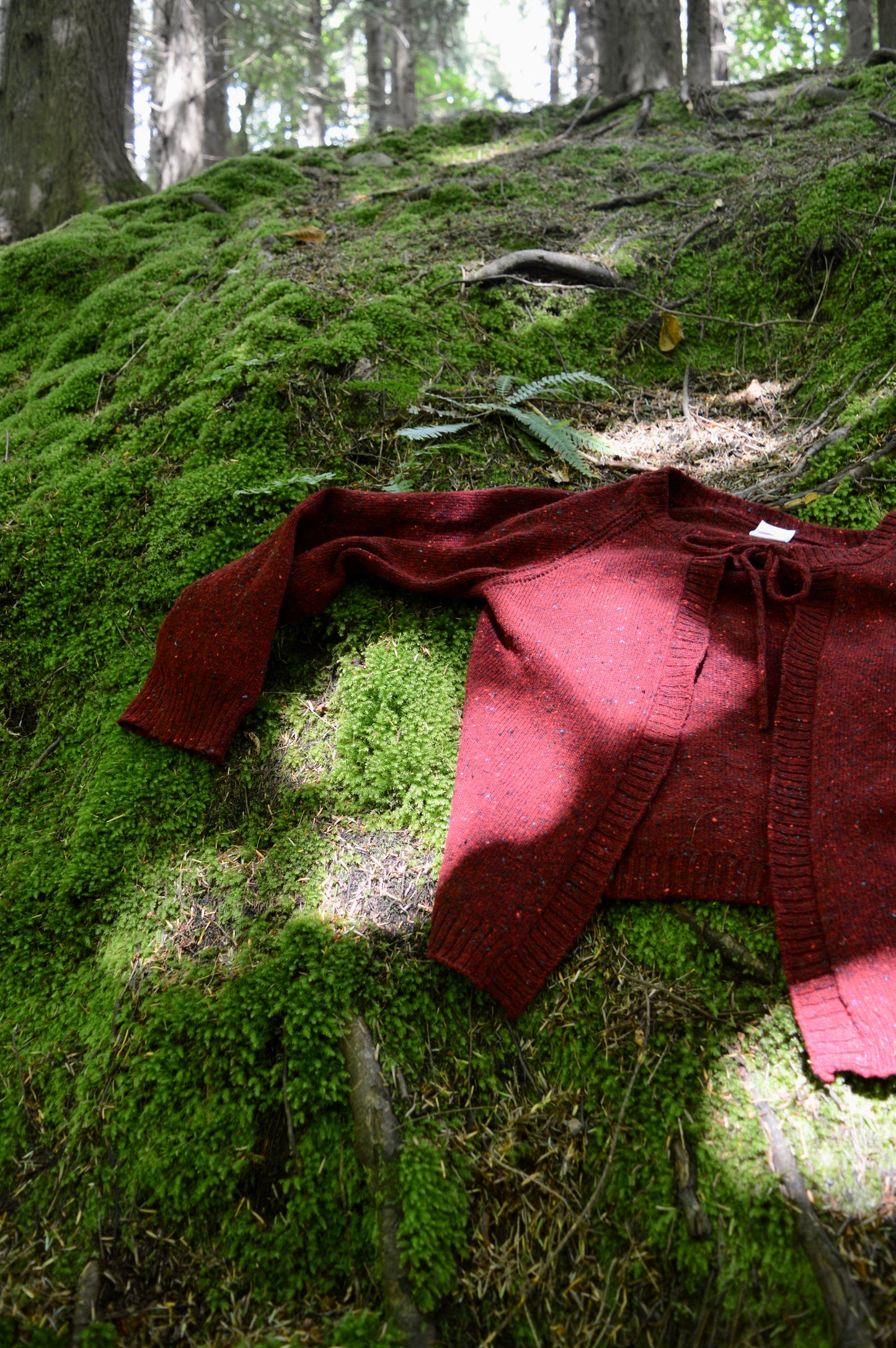 The Cosy Cardi in red laid on top of moss with sun shining through trees