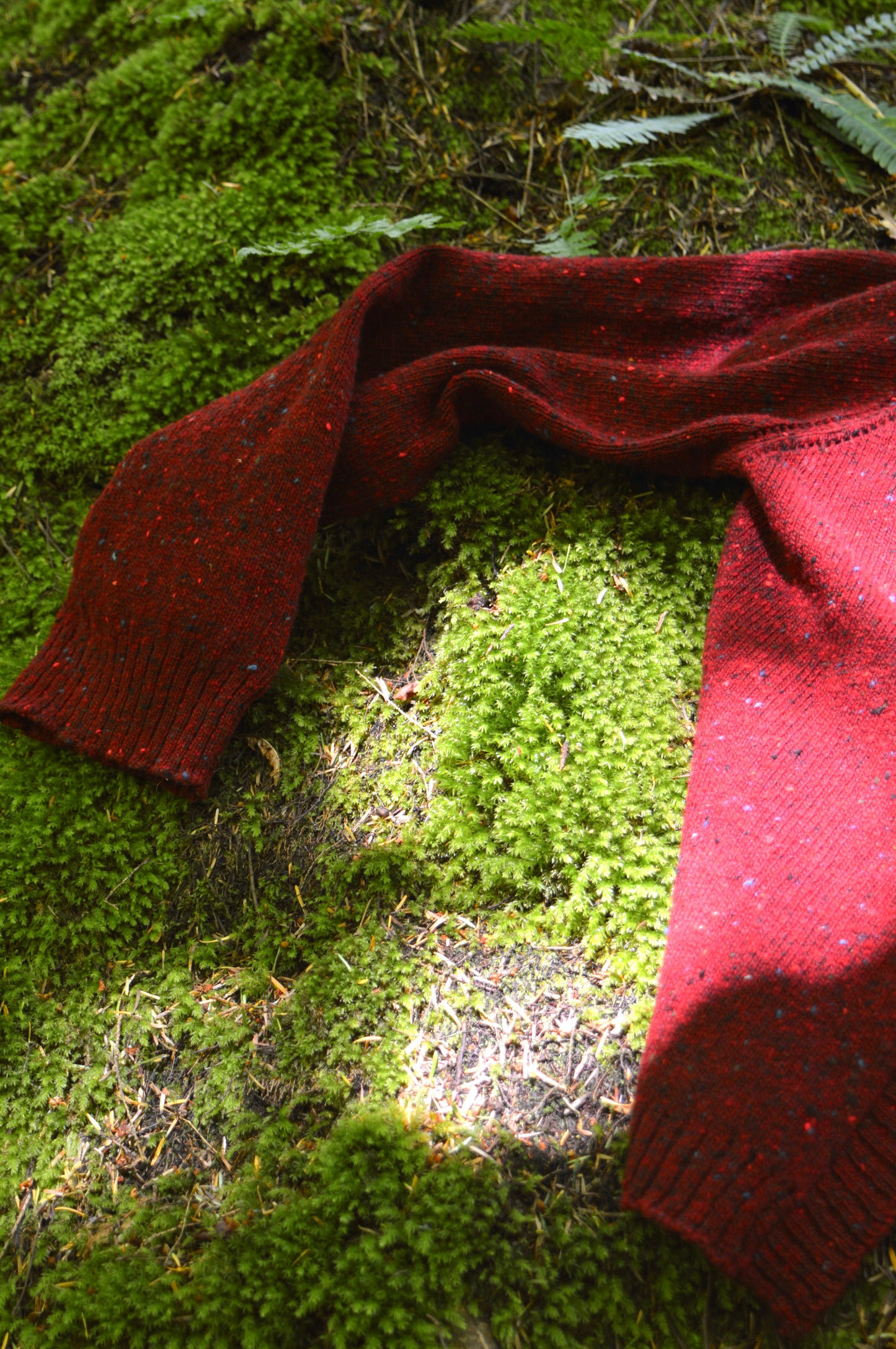Close up of The cosy cardi sleeve placed on top of moss and sun shining through trees.