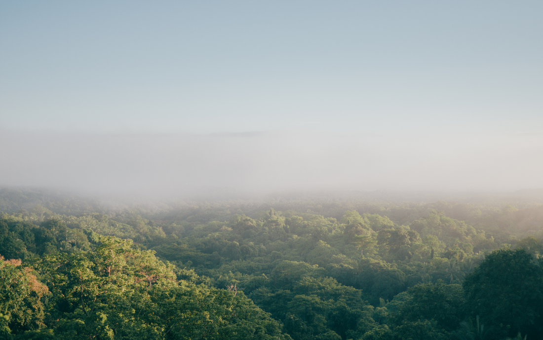 Why Should You Support Ethical and Sustainable Fashion?